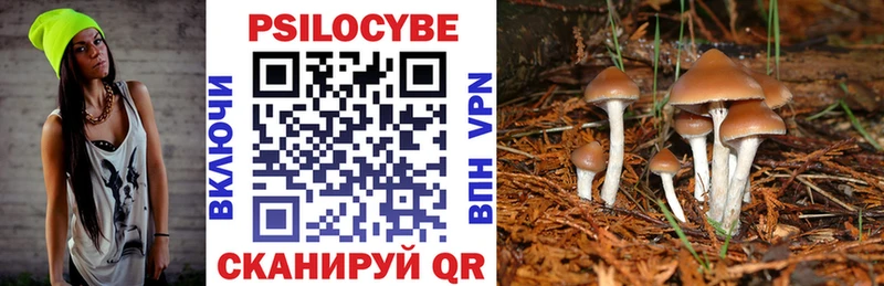 Купить  Зверево  Псилоцибиновые грибы мицелий 